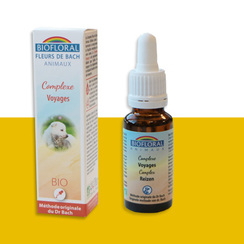 Huile de Coco MCT au CBD 10++ - Flacon pipette de 10ml - NATURE & CBD -  Huiles CBD Coco MCT - Robé vente matériel médical