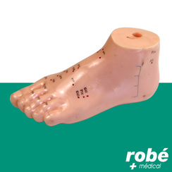 Modle pied avec points acupuncture - 13cm