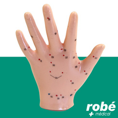 Modle main avec points acupuncture - 13cm