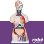 Modle anatomique de torse bisexue en 40 parties - 85 cm