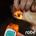 Thermomtre infrarouge sans contact pour les animaux  usage professionnel - Visiofocus Vet